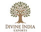 Divine India Exports